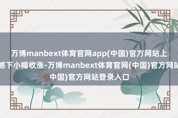 万博manbext体育官网app(中国)官方网站上证指数震憾下小幅收涨-万博manbext体育官网(中国)官方网站登录入口
