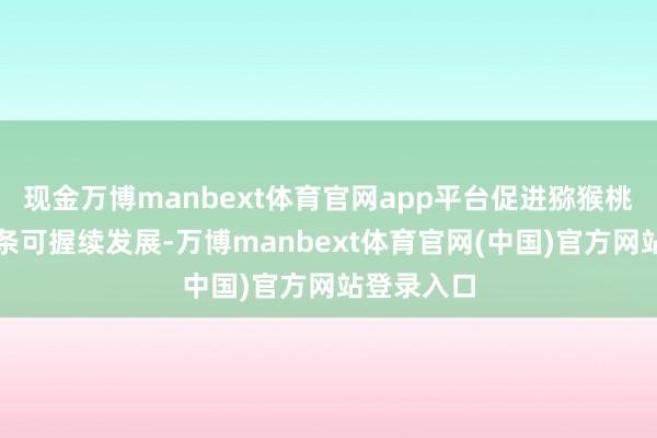 现金万博manbext体育官网app平台促进猕猴桃产业全链条可握续发展-万博manbext体育官网(中国)官方网站登录入口