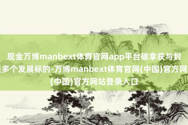 现金万博manbext体育官网app平台碳拿获与封存技艺涵盖多个发展标的-万博manbext体育官网(中国)官方网站登录入口