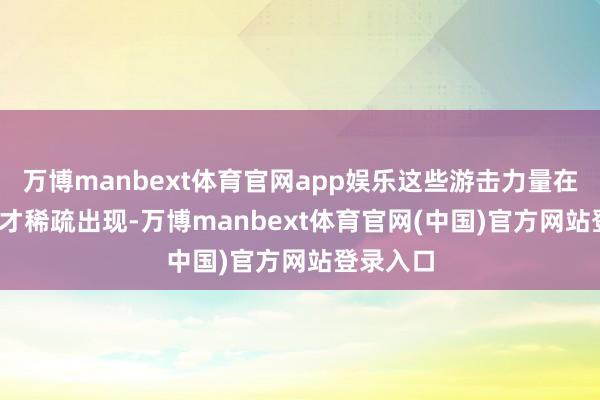 万博manbext体育官网app娱乐这些游击力量在1978年才稀疏出现-万博manbext体育官网(中国)官方网站登录入口