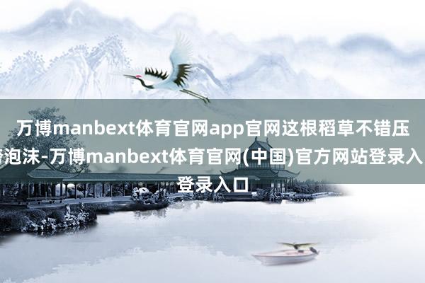 万博manbext体育官网app官网这根稻草不错压垮泡沫-万博manbext体育官网(中国)官方网站登录入口