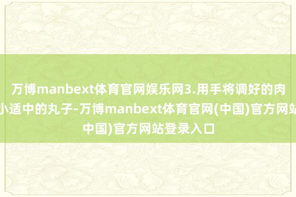 万博manbext体育官网娱乐网3.用手将调好的肉馅团成大小适中的丸子-万博manbext体育官网(中国)官方网站登录入口